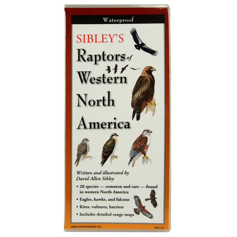 Sibley's Raptors of Western North America