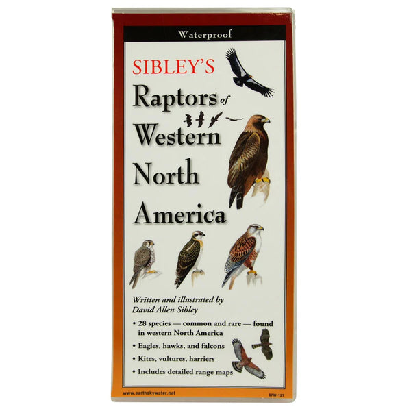 Sibley's Raptors of Western North America