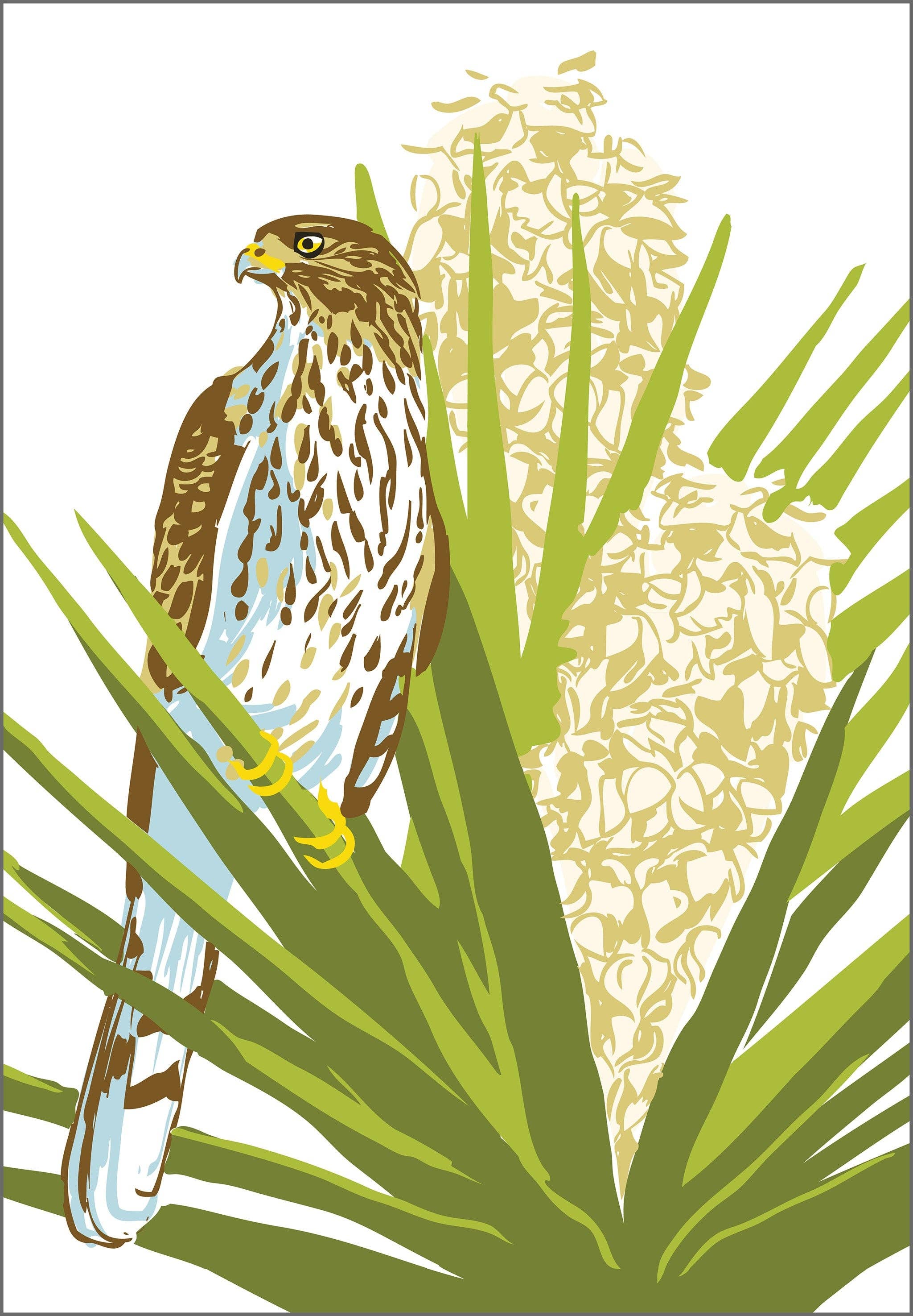Cooper's Hawk & Yucca Magnet