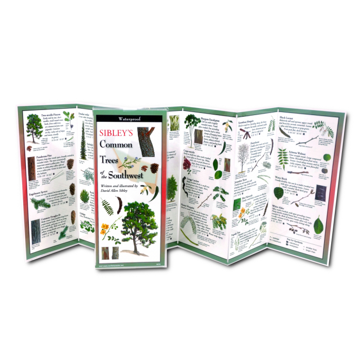 Sibley's Common Trees of the Southwest