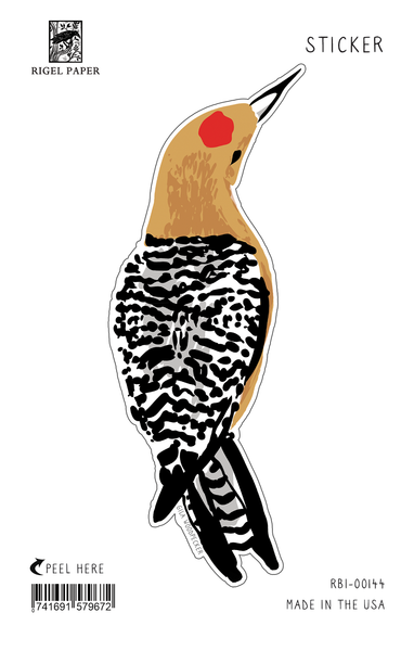 Gila Woodpecker Bird Sticker