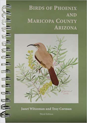 Birds of Phoenix and Maricopa County Arizona