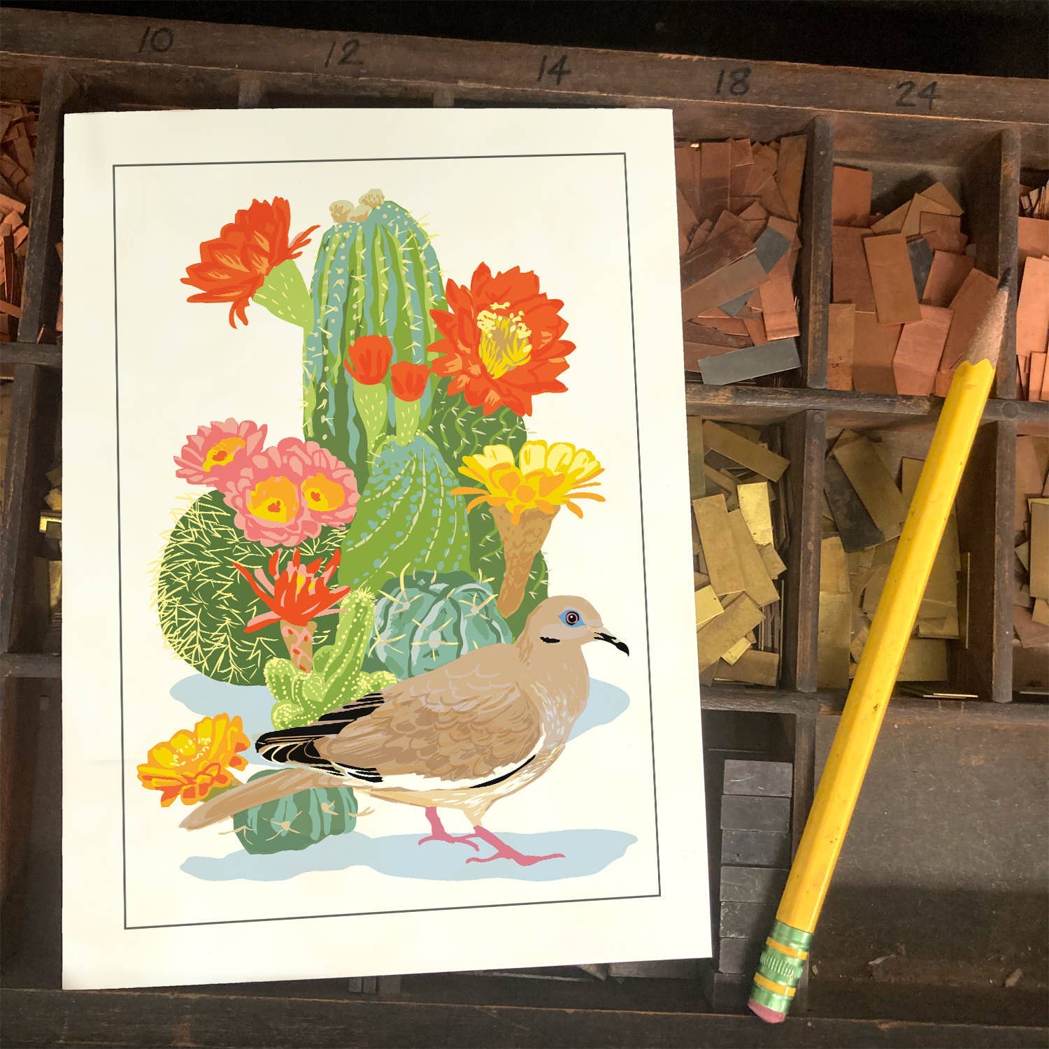 White-Winged Dove & Flowering Cactus  Greeting Card