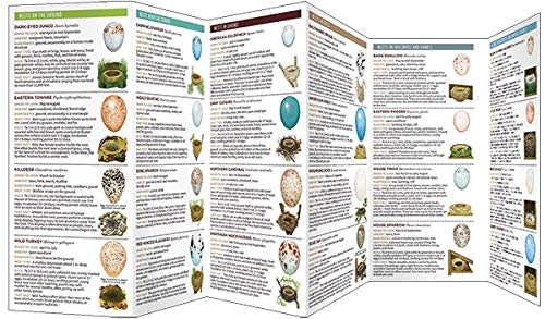 Nests and Eggs of North American Birds: Folding Pocket Guide