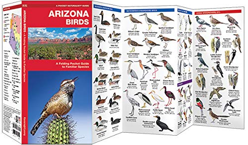 Pocket Naturalist Guide: Arizona Birds