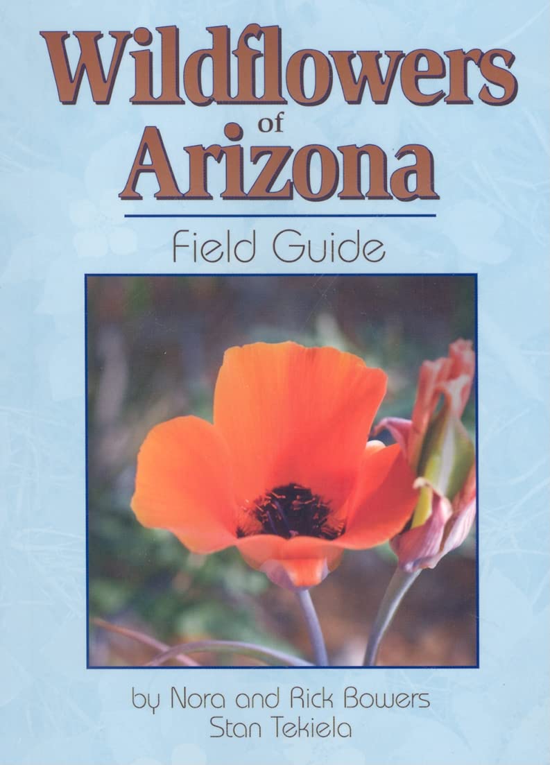 Wildflowers of Arizona