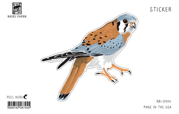 Kestrel Bird Sticker