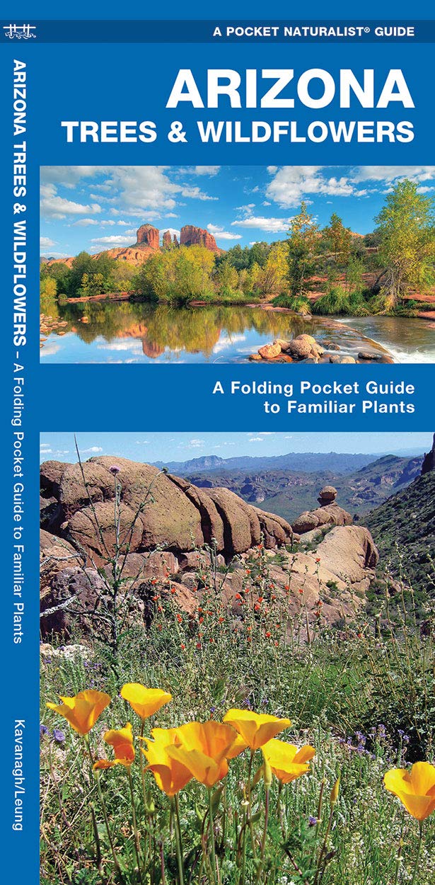 Pocket Naturalist Guide: Arizona Trees and Wildflowers