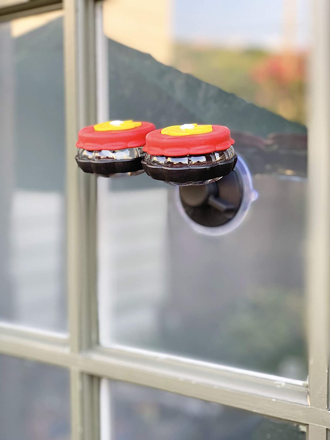 Hummingbird Window Feeder (Mounted)