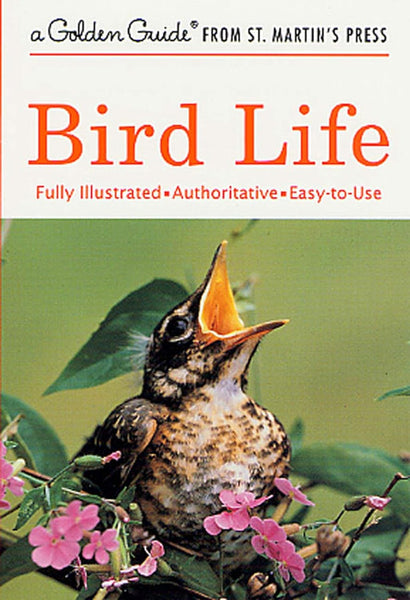 Golden Guide Bird Life