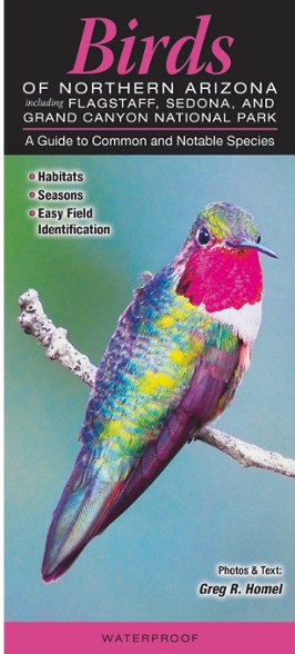 Quick Reference Publishing: Birds of Northern Arizona