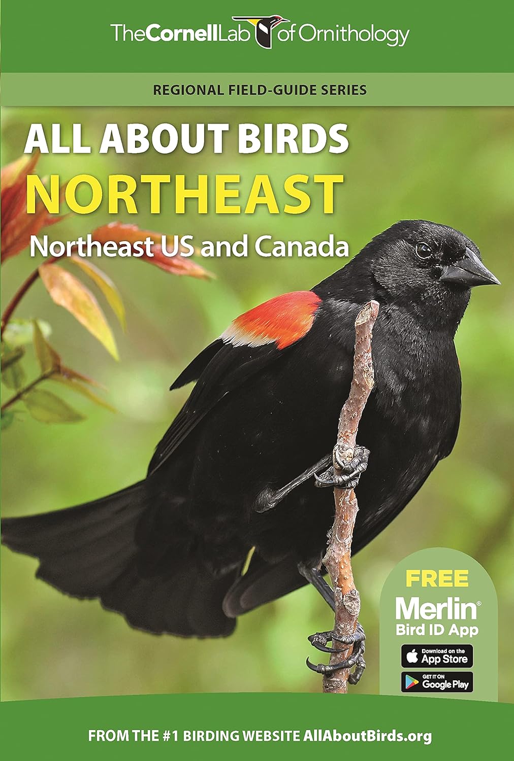 Northeast: All About Birds (Cornell)
