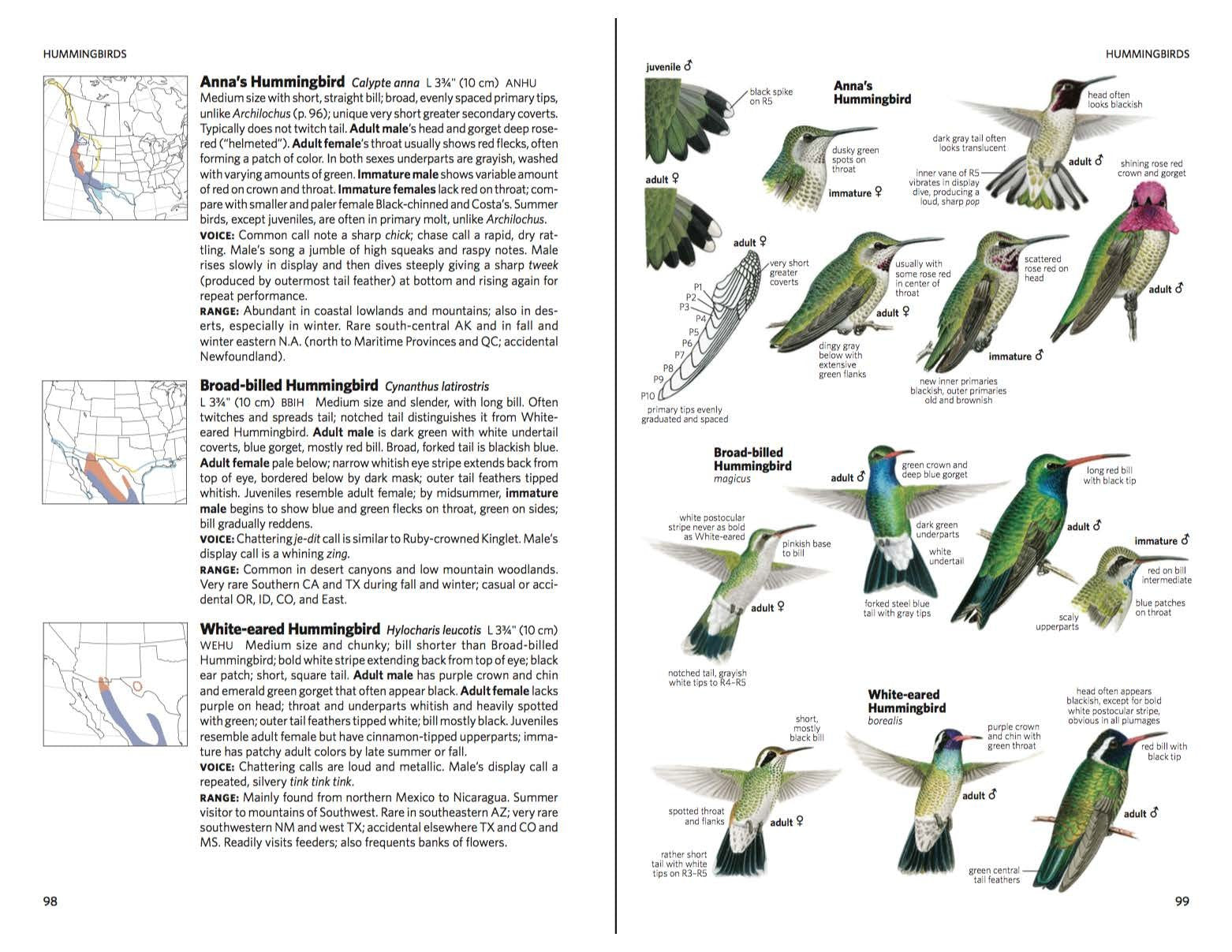 National Geographic: Field Guide to the Birds of North America, 7th Ed.