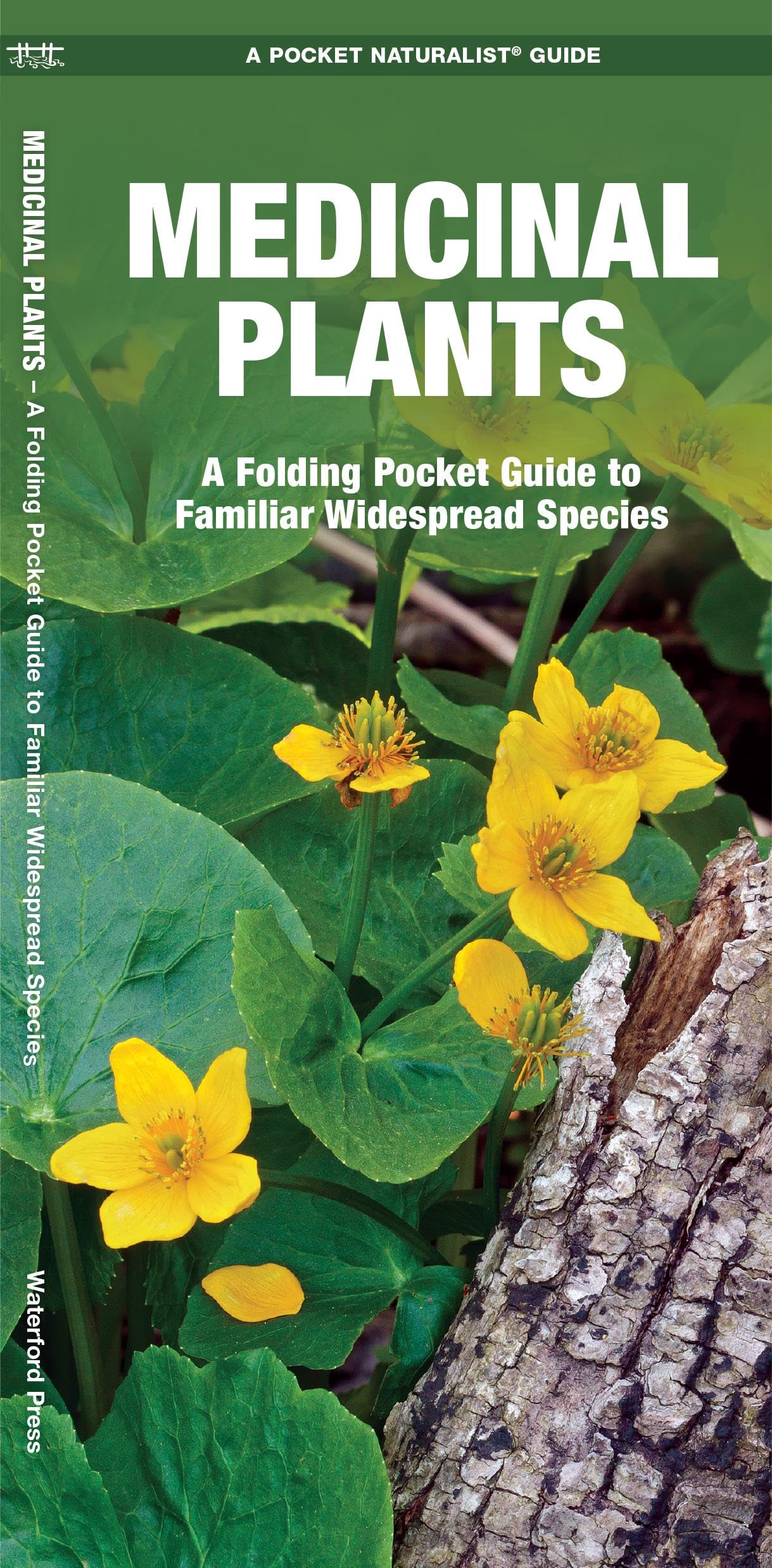Pocket Naturalist Guide: Medicinal Plants