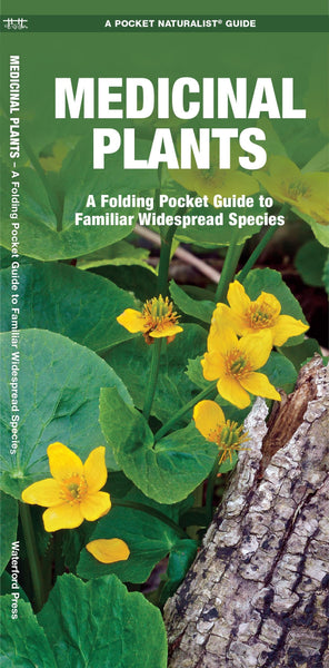 Pocket Naturalist Guide: Medicinal Plants