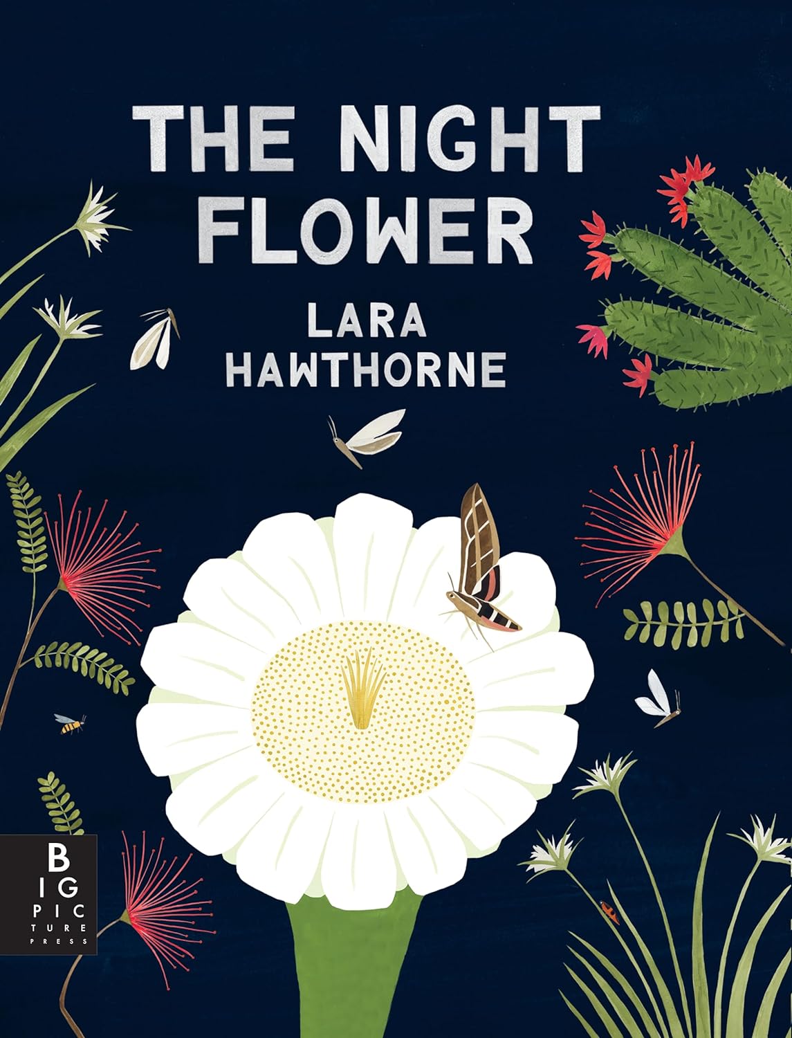 Night Flower Blooming Saguaro