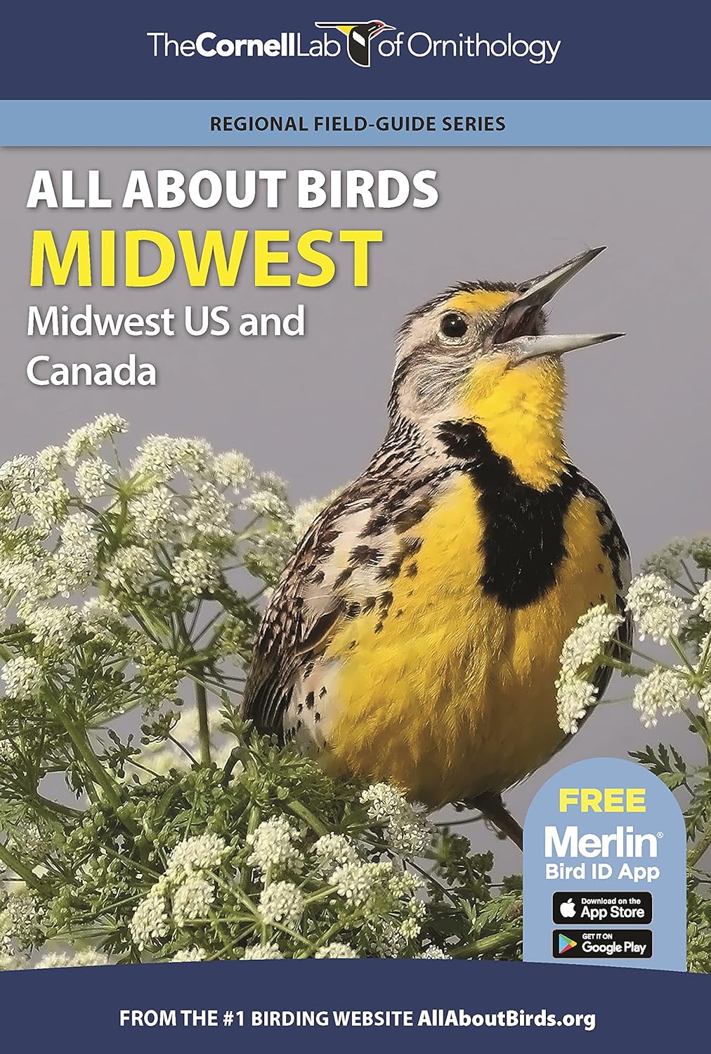 Midwest: All About Birds (Cornell Lab of Ornithology)