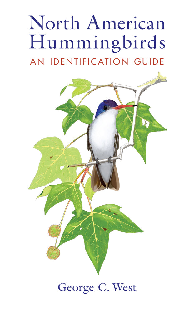 North American Hummingbirds: A Identification Guide