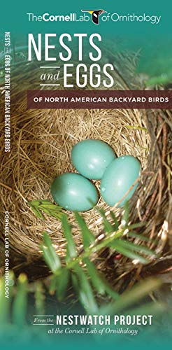 Nests and Eggs of North American Birds: Folding Pocket Guide
