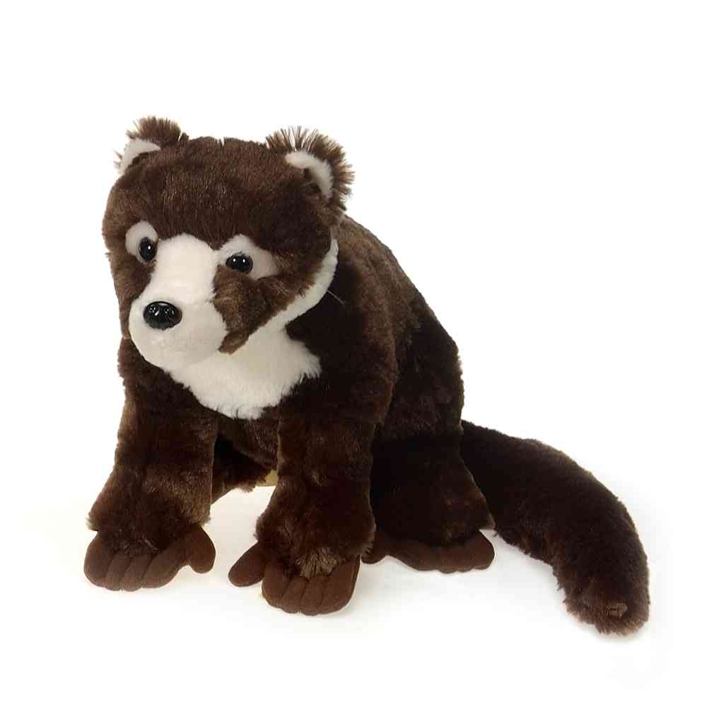 13" Coatimundi