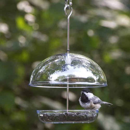 Droll Yankee Cutest Chickadee Feeder