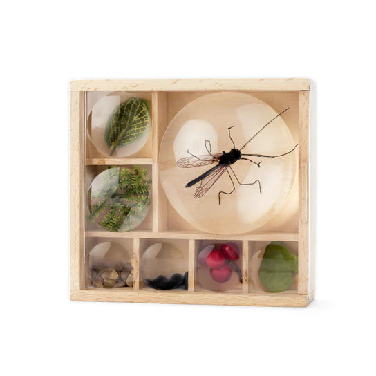 My Little Museum by Huckleberry