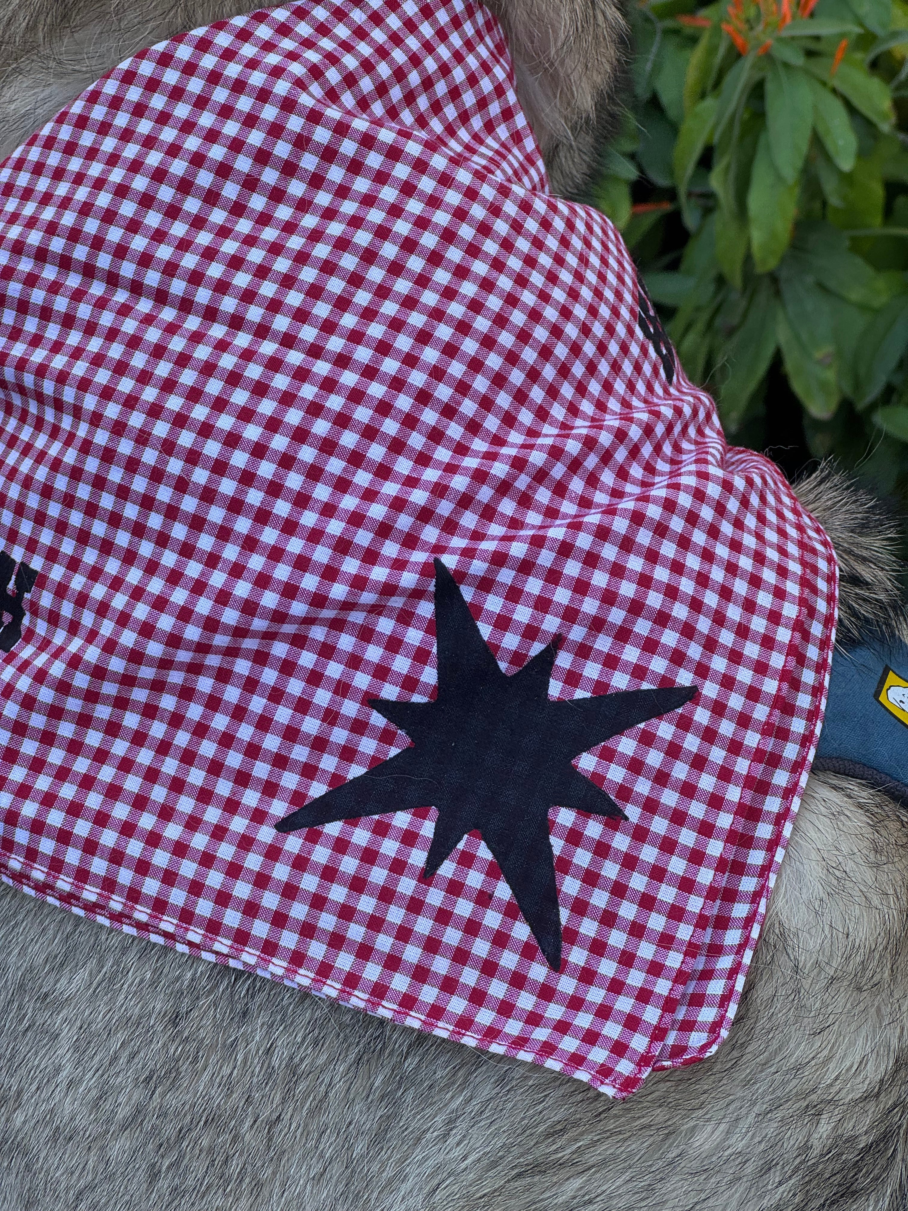 Stubborn Worn Bandanas - Hawkwatch 2026