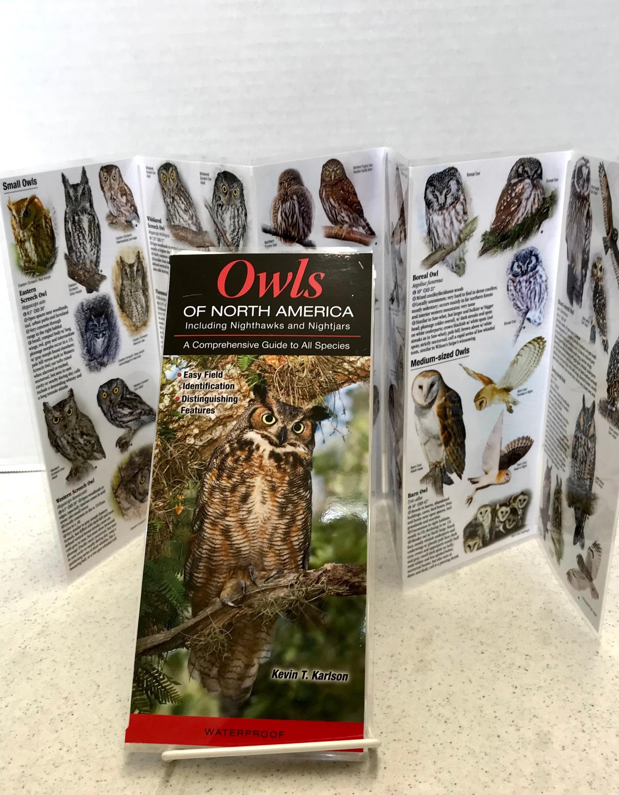 Quick Reference Publishing: Owls of North America