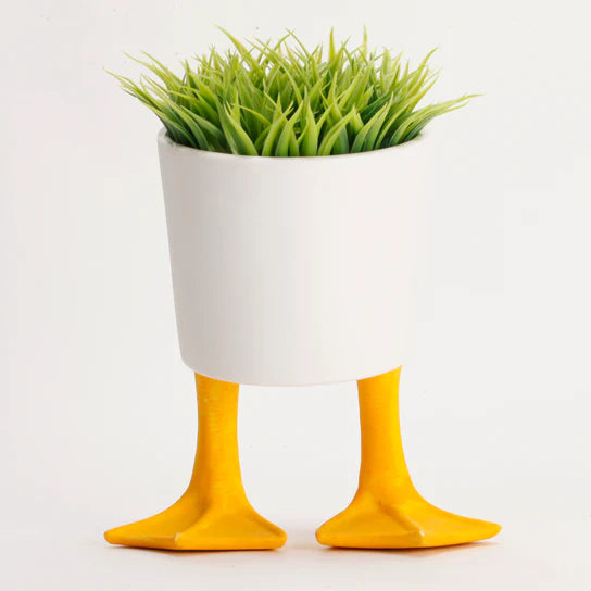 Duck Feet Planter