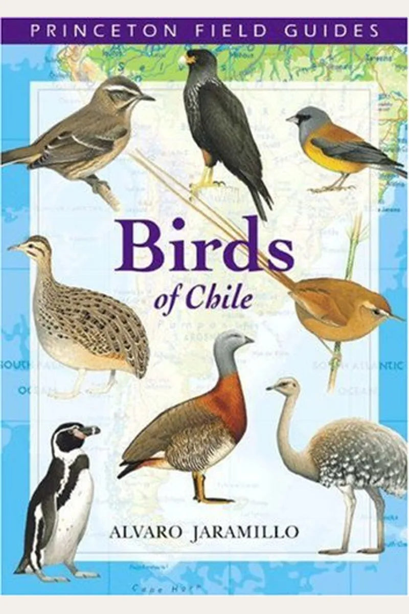 Princeton Field Guides: Birds of Chile
