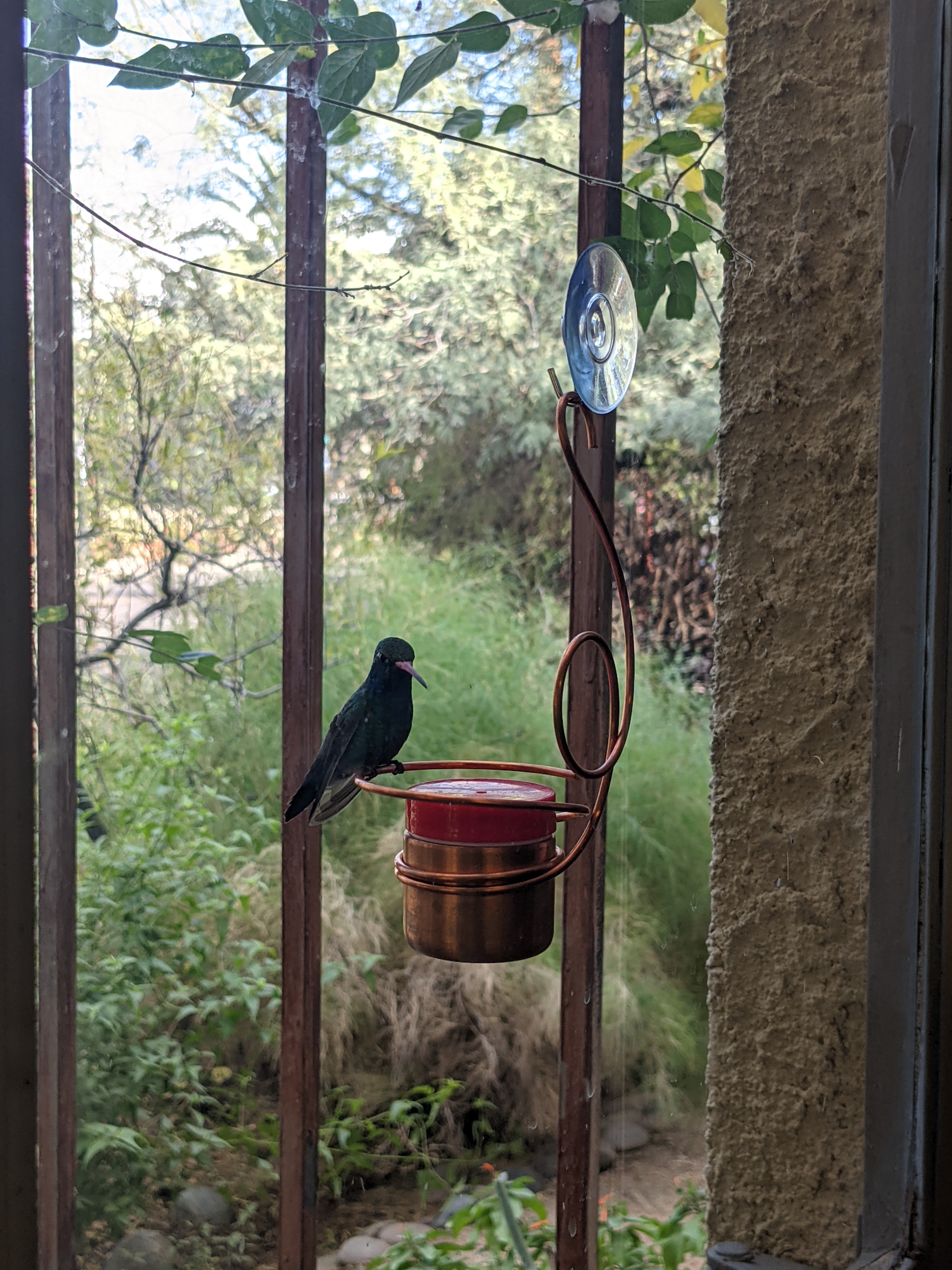 Copper Hummingbird Feeder