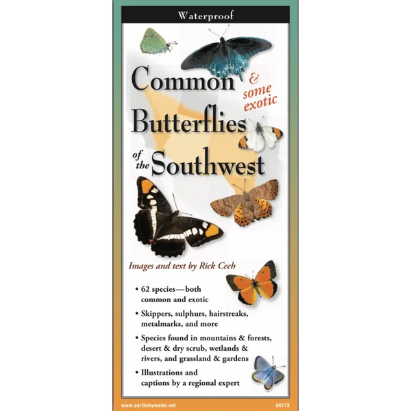 Common Butterflies of the Southwest