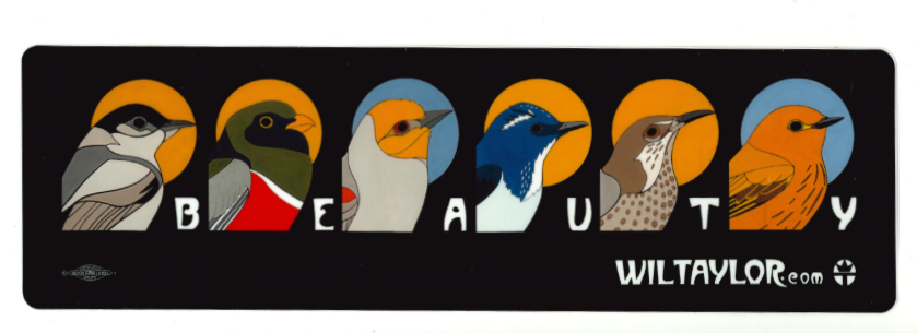 "Beauty" Bumper Sticker by Wil Taylor