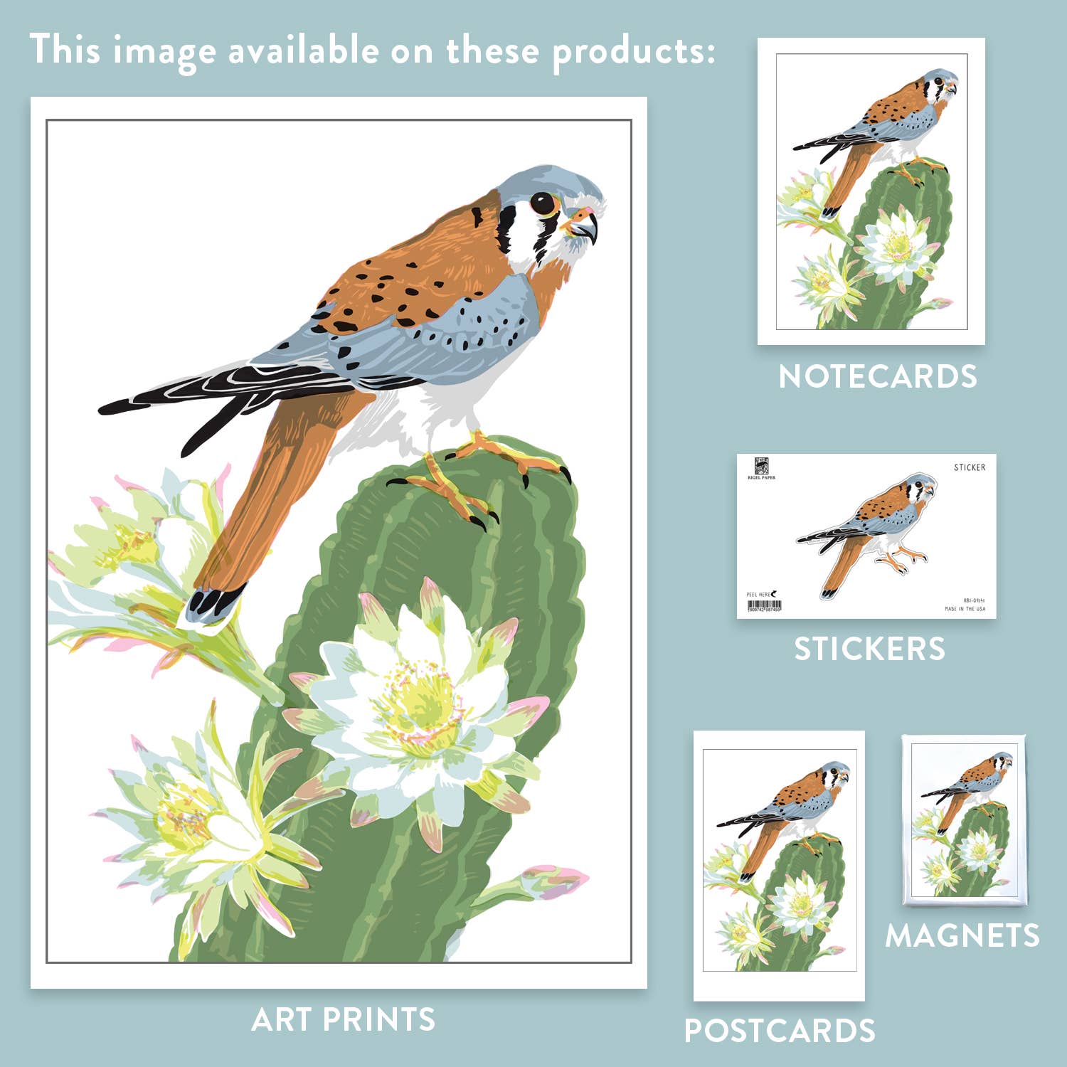 Kestrel Bird & Cactus Magnet