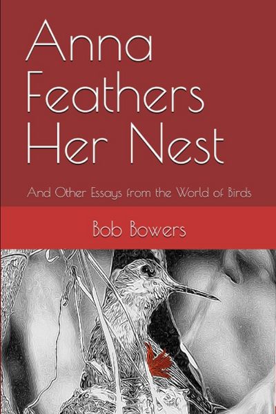 Anna Feathers Her Nest