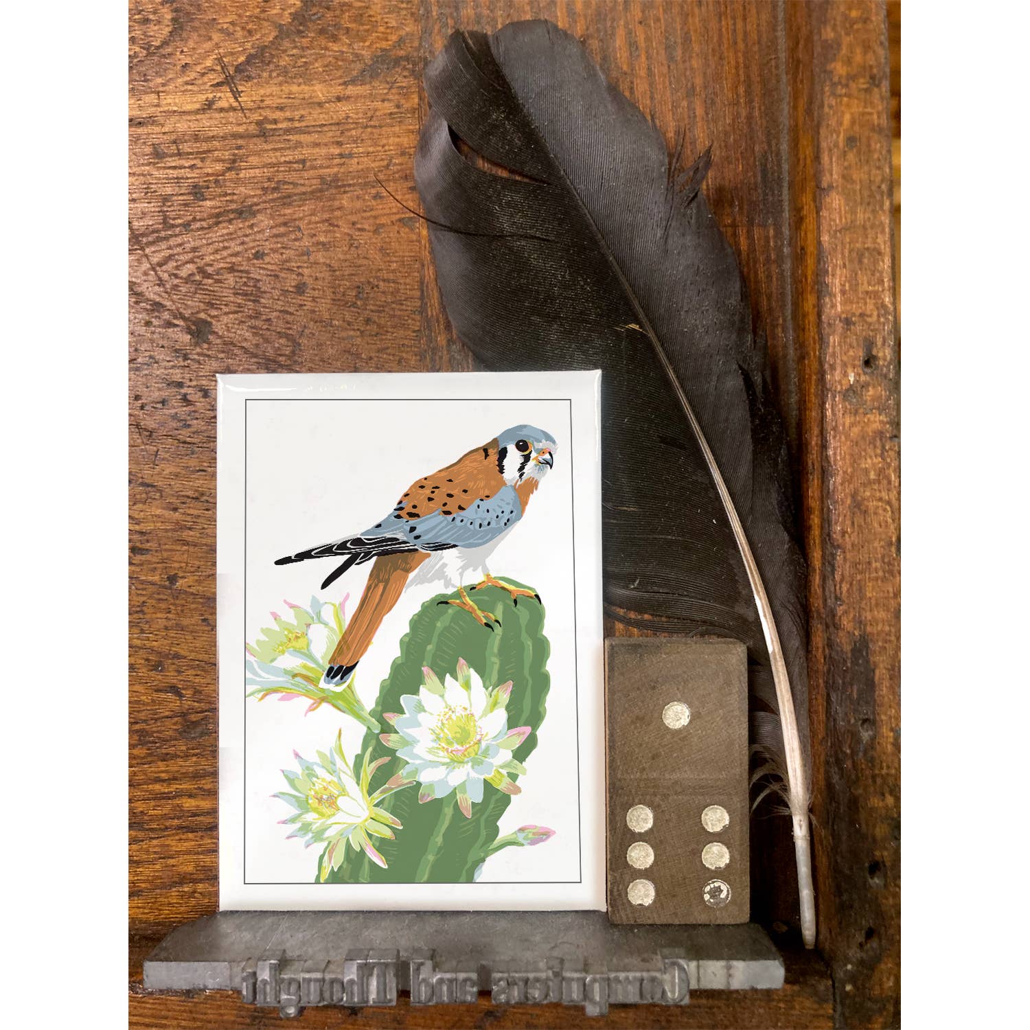 Kestrel Bird & Cactus Magnet