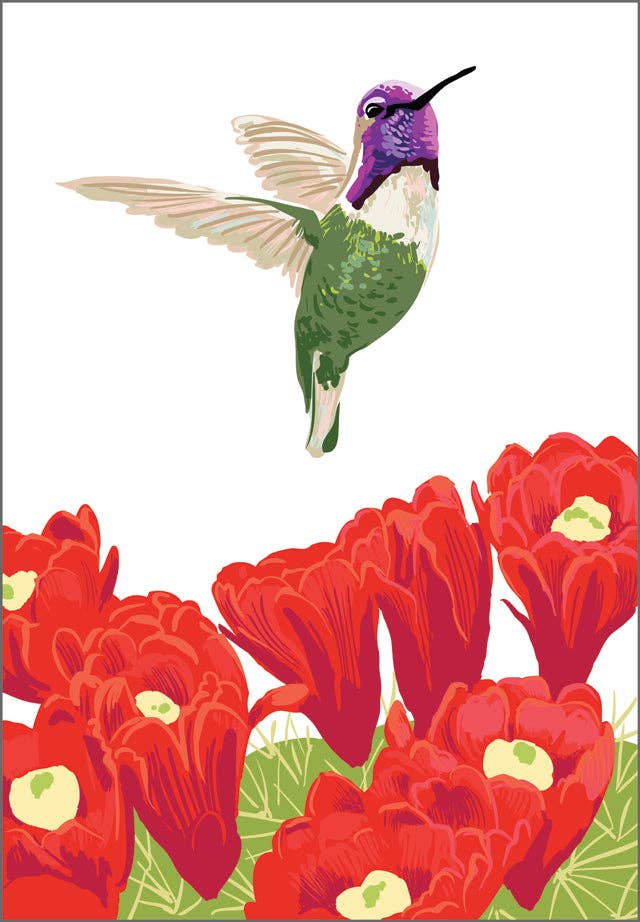 Costa's Hummingbird and Cactus Magnet