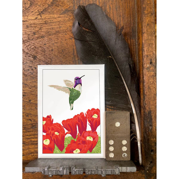Costa's Hummingbird and Cactus Magnet