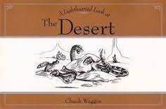 Light Hearted Look at Desert