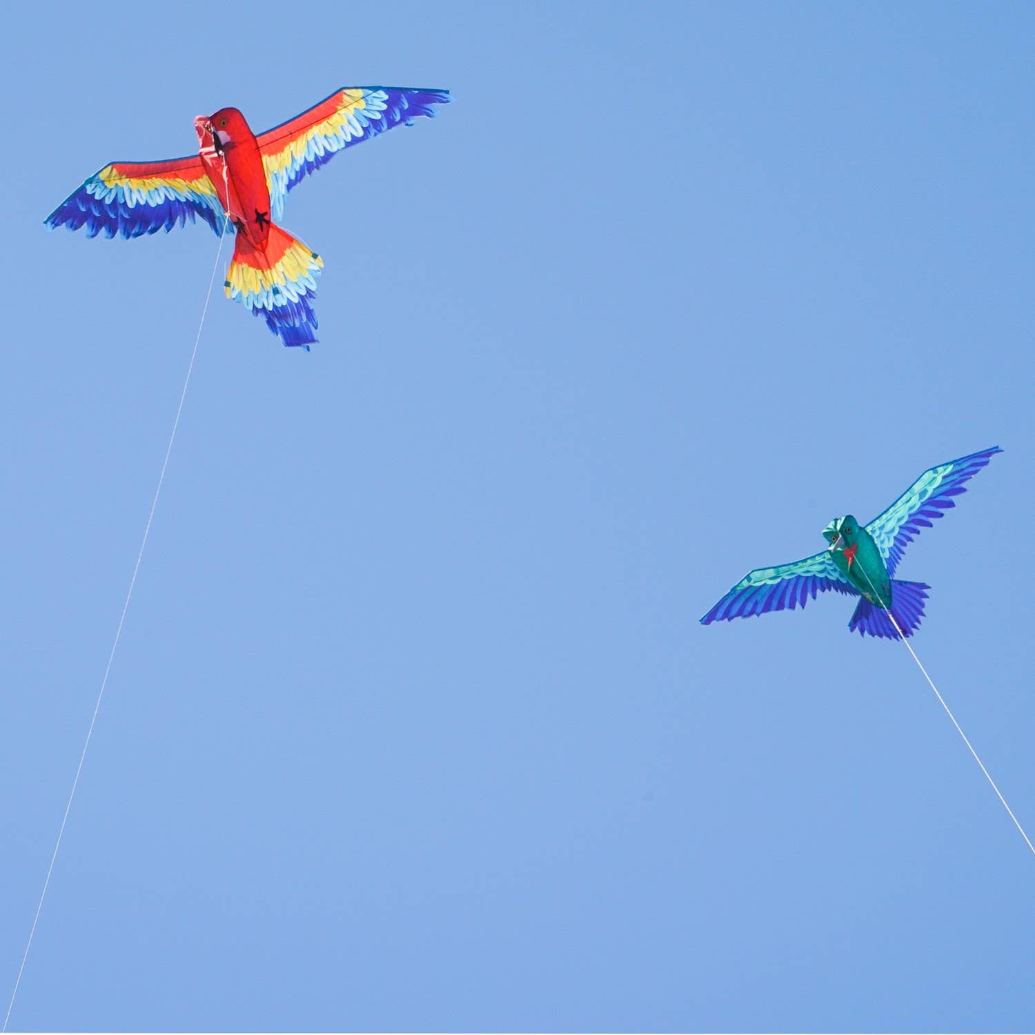 3D Hummingbird Kite