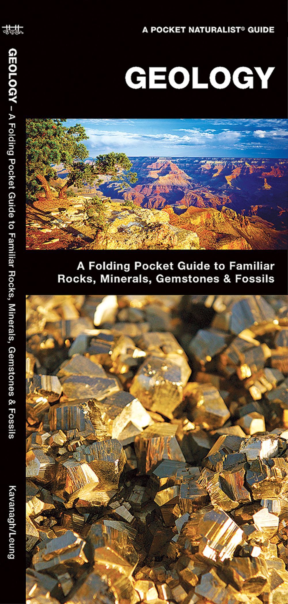 Pocket Naturalist Guide: Geology