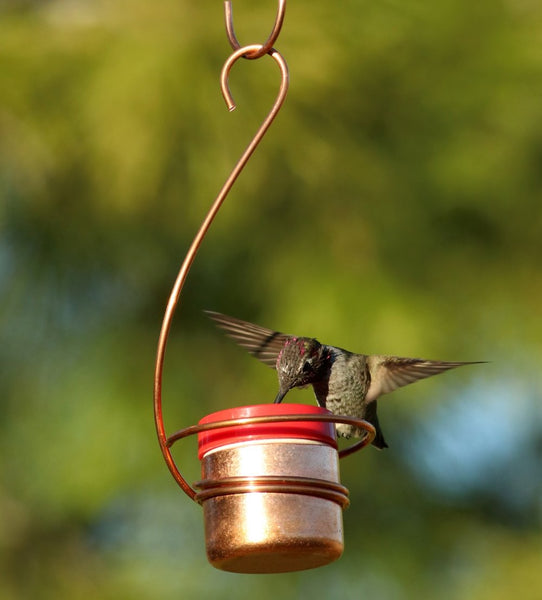 Copper Hummingbird Feeder