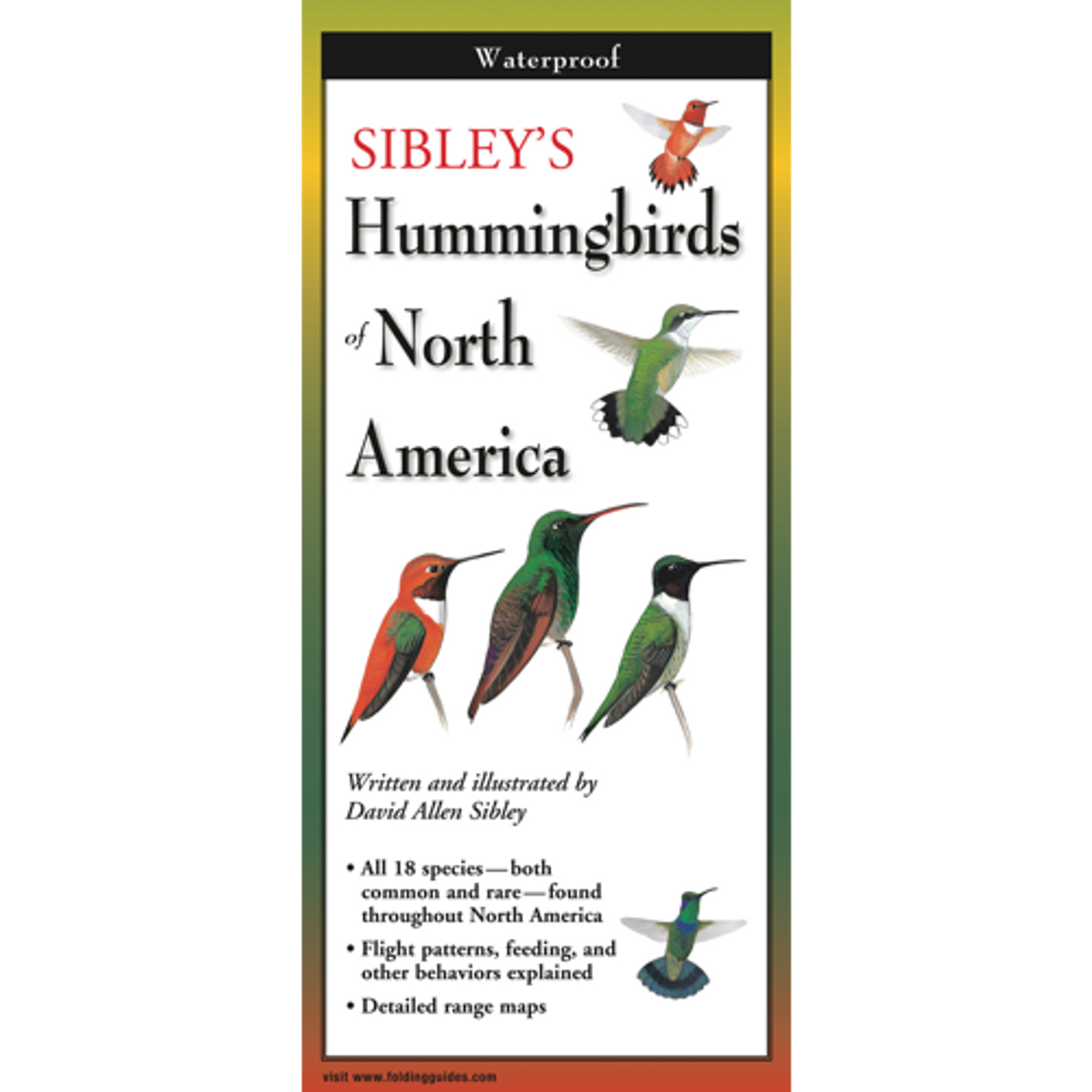 Sibley's Hummingbirds of North America