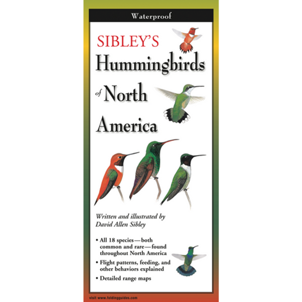 Sibley's Hummingbirds of North America