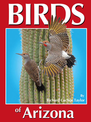 Birds of Arizona