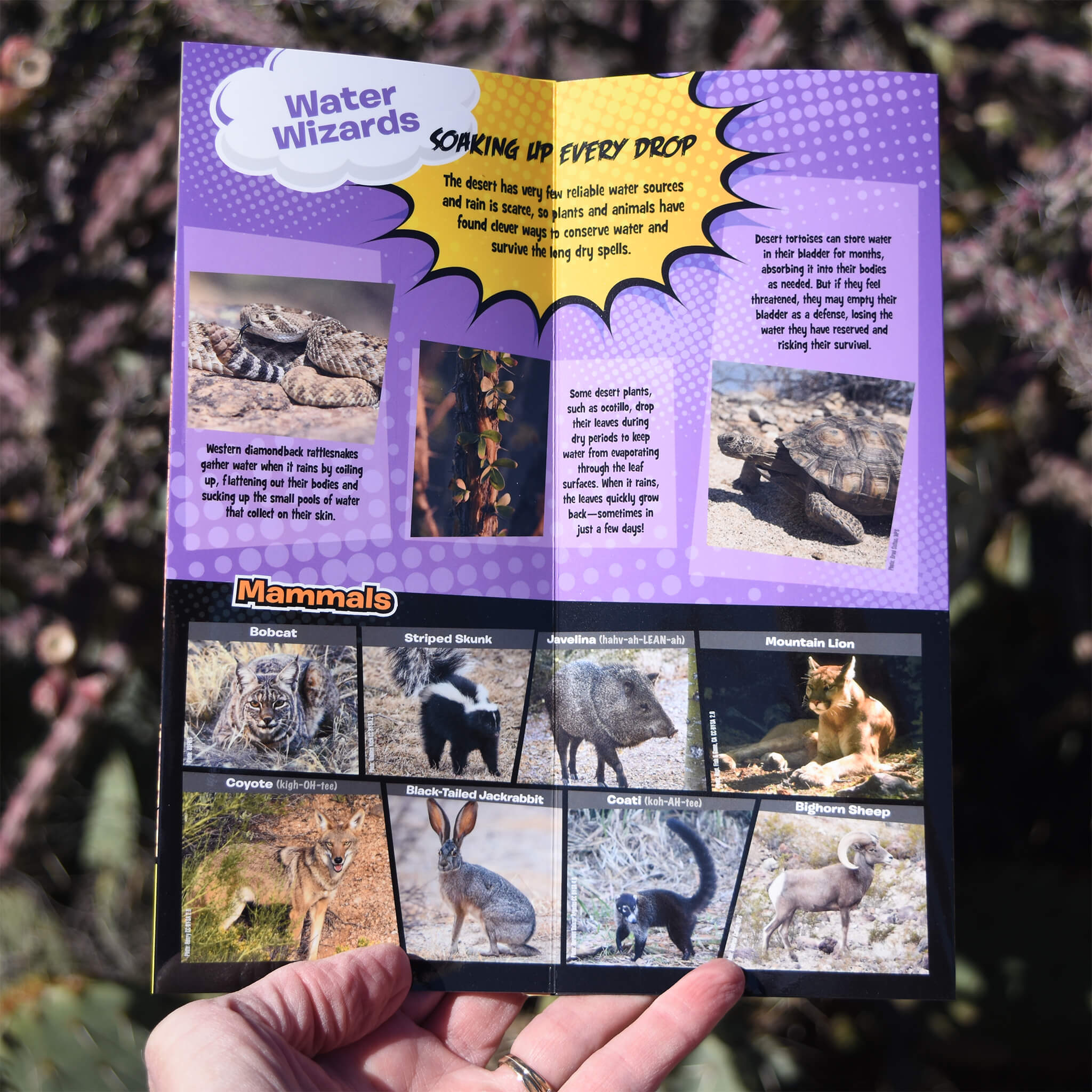 Desert Defenders: Kids' Guide to the Desert
