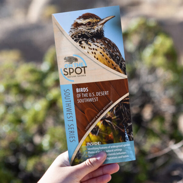On the Spot Guide - Birds of US Desert Southwest