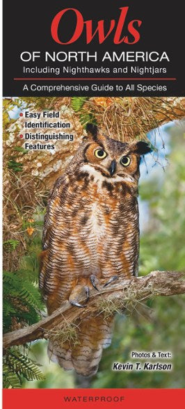 Quick Reference Publishing: Owls of North America