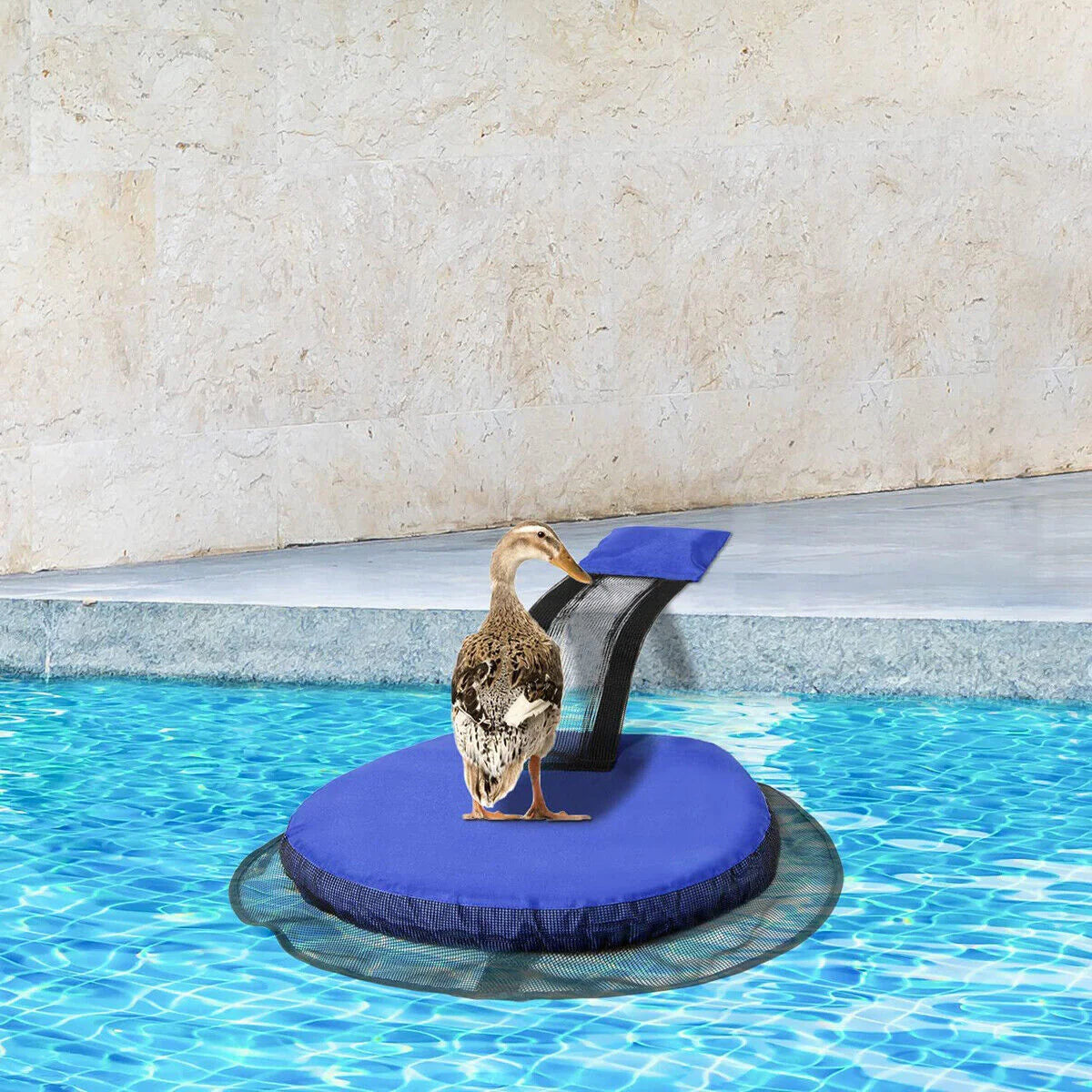 Frog Log Critter Saving Rescue Ramp