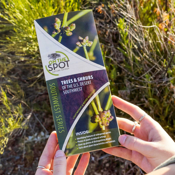 On the Spot Guide: Trees and Shrubs of the Desert Southwest